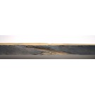 Mooreichen - Bohle, über 2 mtr. lang 