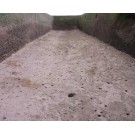 Großer Sandsteintrog