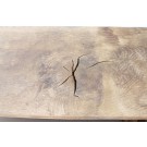 2er Set antike Eichenbretter besäumt